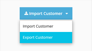 Bulk Import or Export Customer